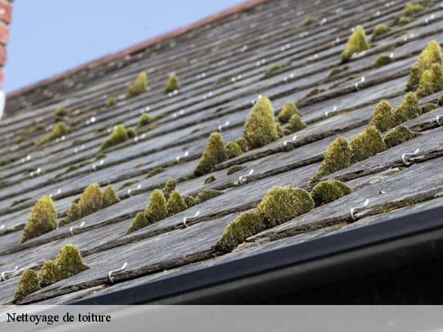 enlèvement mousse toiture couvreur Mayenne