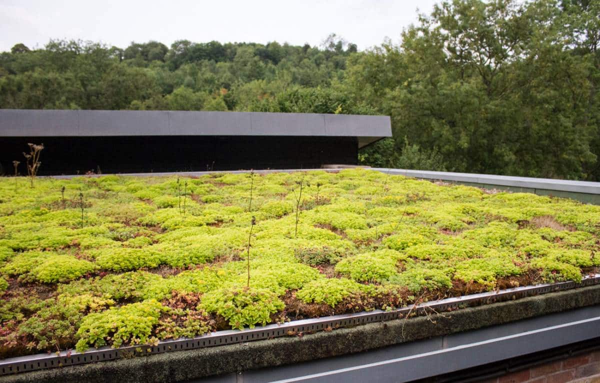 L’Art de la Végétalisation de Toiture : Une Révolution Écologique à Mayenne, Laval et La Baule