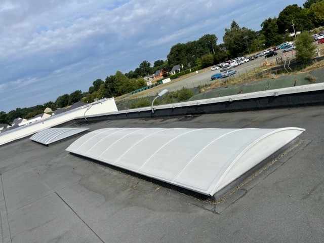 réparation skydome et entretien puit de lumière