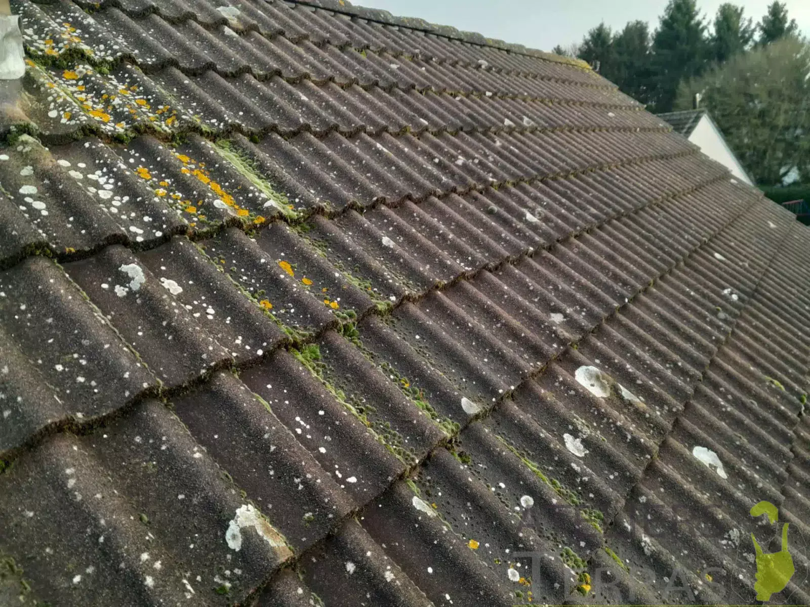 Nettoyage et antimousse toiture tuile Mayenne