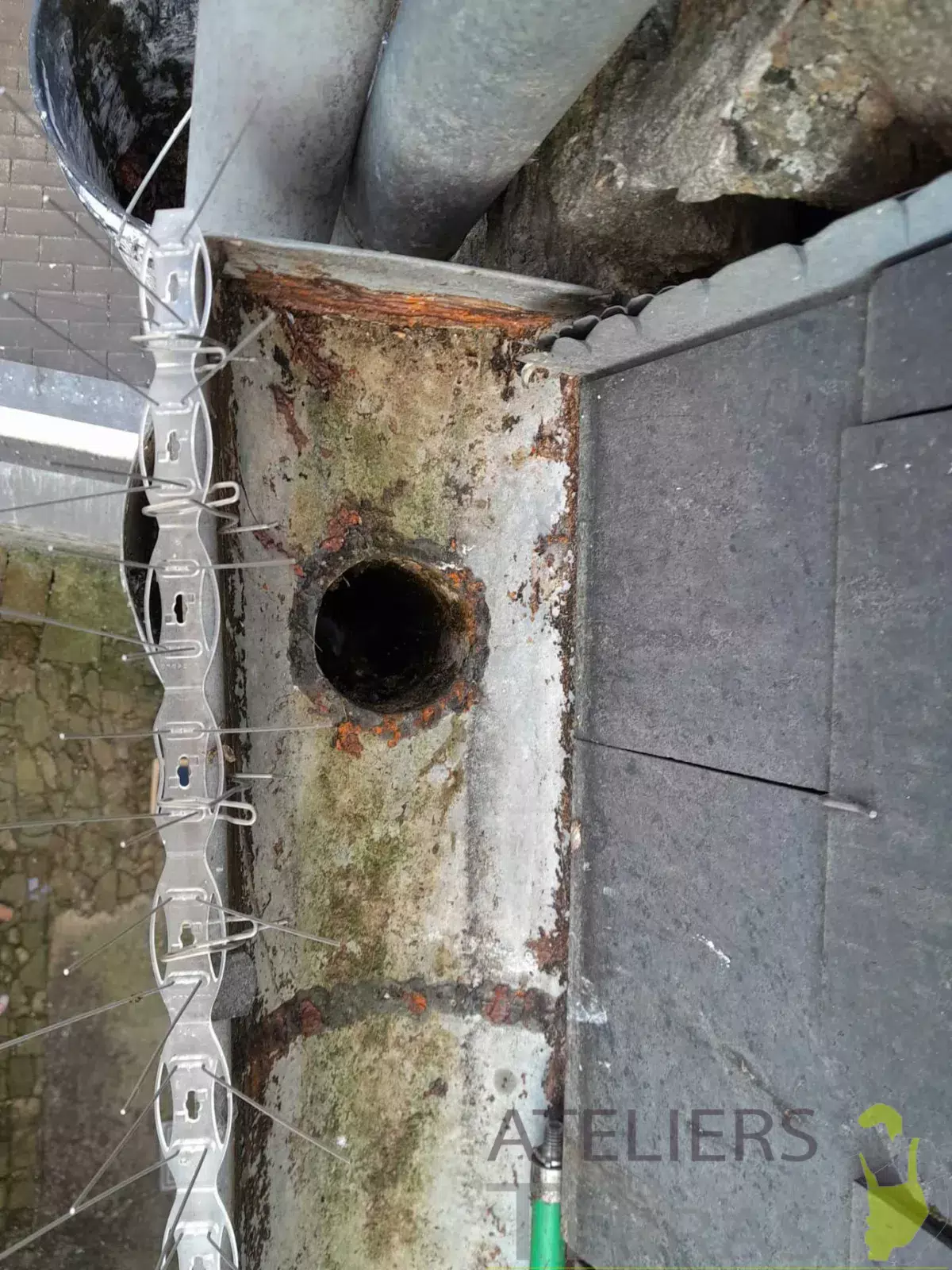 Pic anti oiseau et nettoyage de gouttière et débouchage de tuyau de descente Mayenne laval, la baule