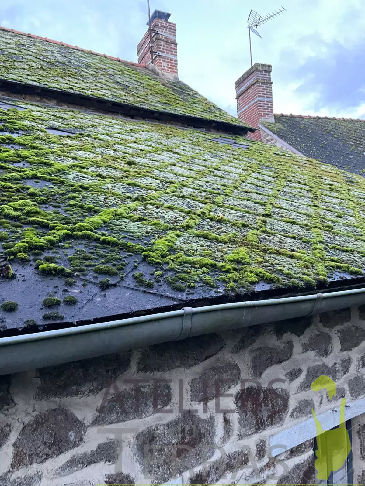 nettoyage de toiture mousse Mayenne