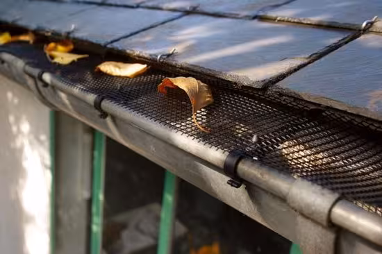 grille de protection feuille mayenne